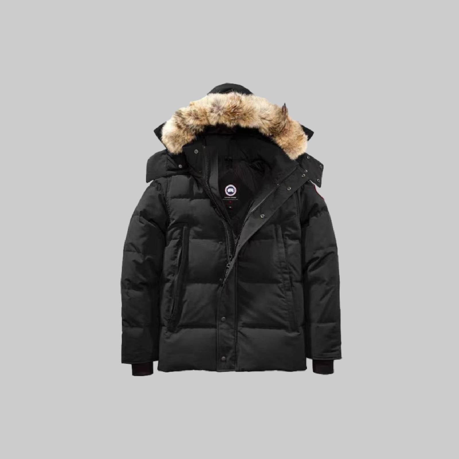 Canada Goose
